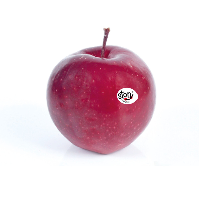 BIO POMME STORY 6.5KG